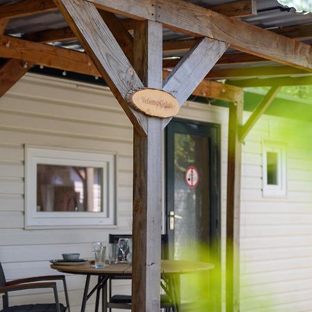 Chalet Op Rustig Park Op De Veluwe Путен Екстериор снимка